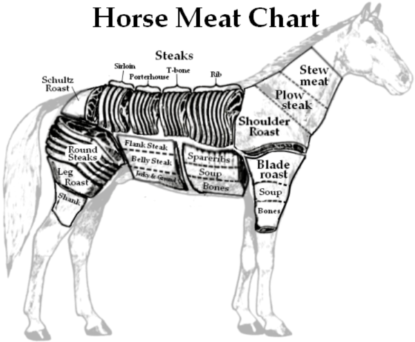 food-network-horse-meat.png