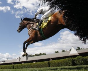 Horse jumps during steeplechase at Saratoga.  Image by Skip Dickstein / Times Union.