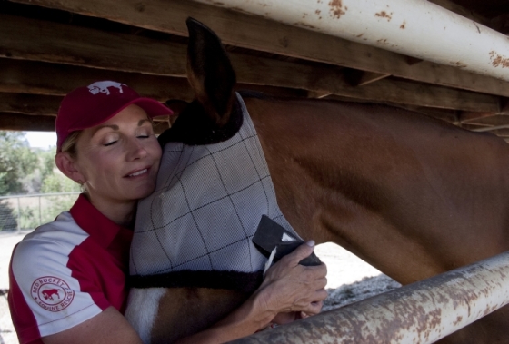 Susan Peirce and Baldwin a rescue horse.  (Jennifer Cappuccio Maher/Staff Photographer)