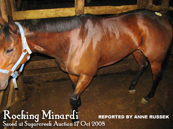 Rocking Minardi ( SAVED), last raced Oct 14 at Mountaineer for owner/trainer Patrick Jeffries. I have reason to believe that he is also the one who would not work with me to save Foxey Nokea. ~ Anne Russek