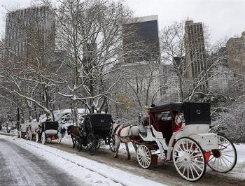 A row of hansom cabs make their way through Central Park in New York City-AFP Photo