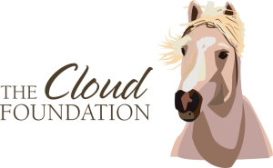 The Cloud Foundation Logo