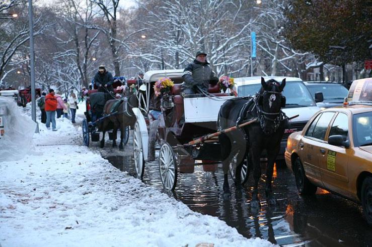 Horse drawn carriages in a wintry New York City
