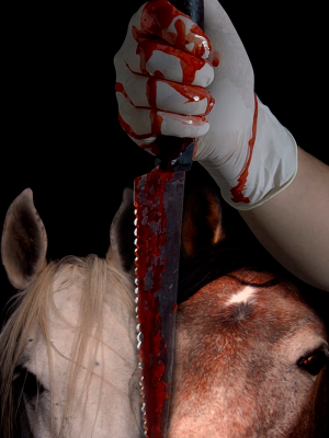 Horse Slaughter Poster by Vivian J Grant