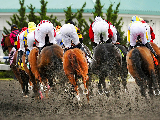Horses racing.