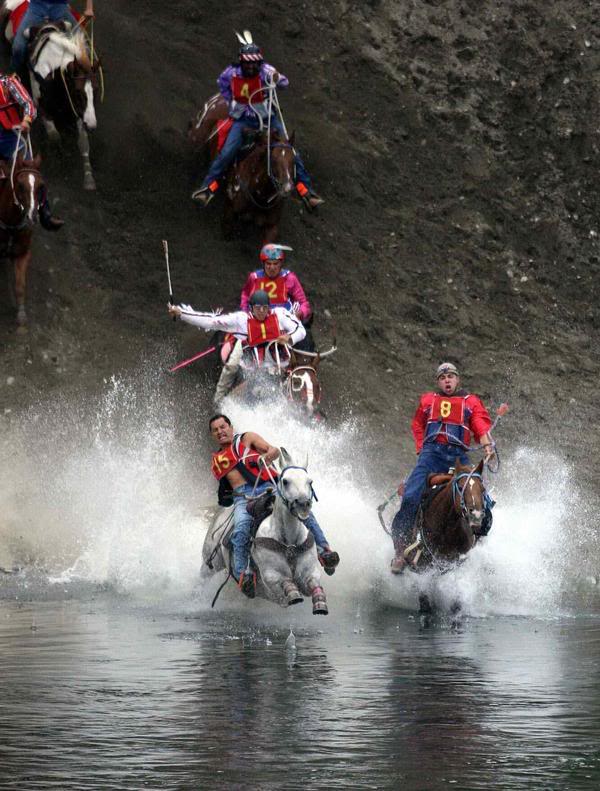 Omak Suicide Race horses plunge into rivier. Image / Fark.