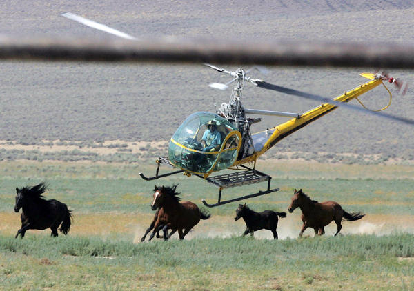 Image from 2008 Washoe County Helicopter Roundup. Brad Horn / AP.