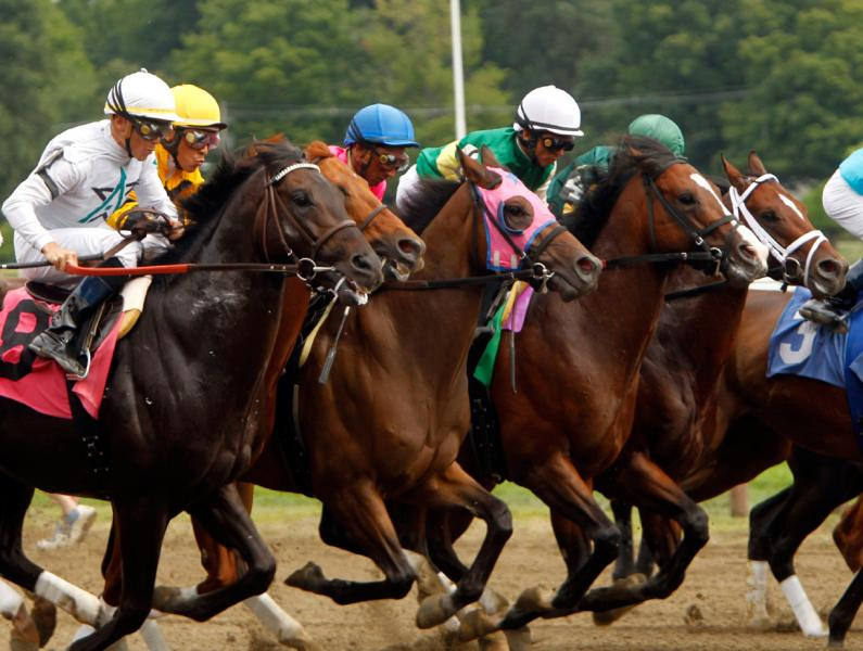 Horses racing at Saratoga in 2010. (AP Photo/Mike Groll)