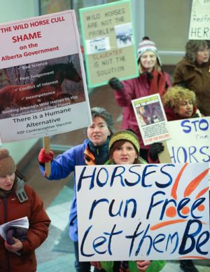 Wild horse cull protesters Alberta, Canada. Photo Brent Calver, Calgary Sun.