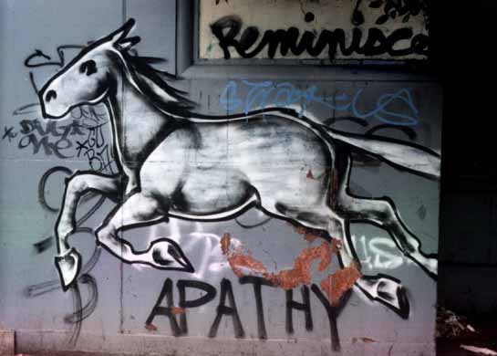 Horse graffiti Reminisce by Ruby Neri.