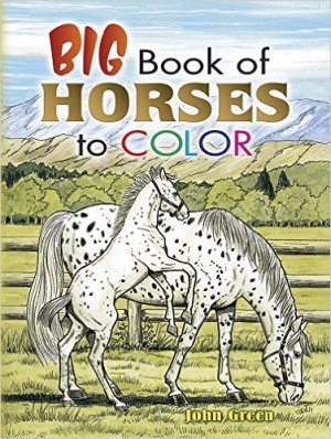 Remember the kids! How about this fab horse coloring book.