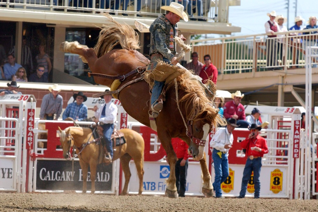 Bronco Busting at the Calgary Stampede. Found at RCI.net.ca.