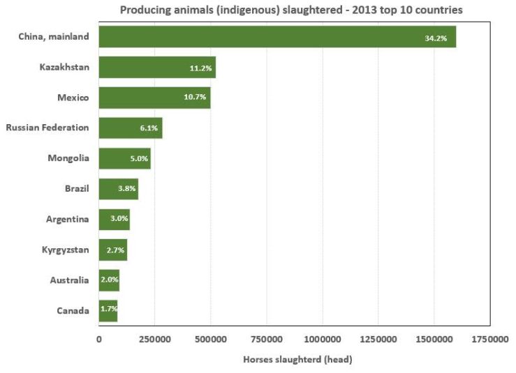 Top ten producing animals / Global horse meat production. Bar Chart. Jane Allin.