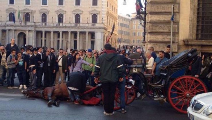 Downed botticelle horse, Rome, Italy. Source not cited.