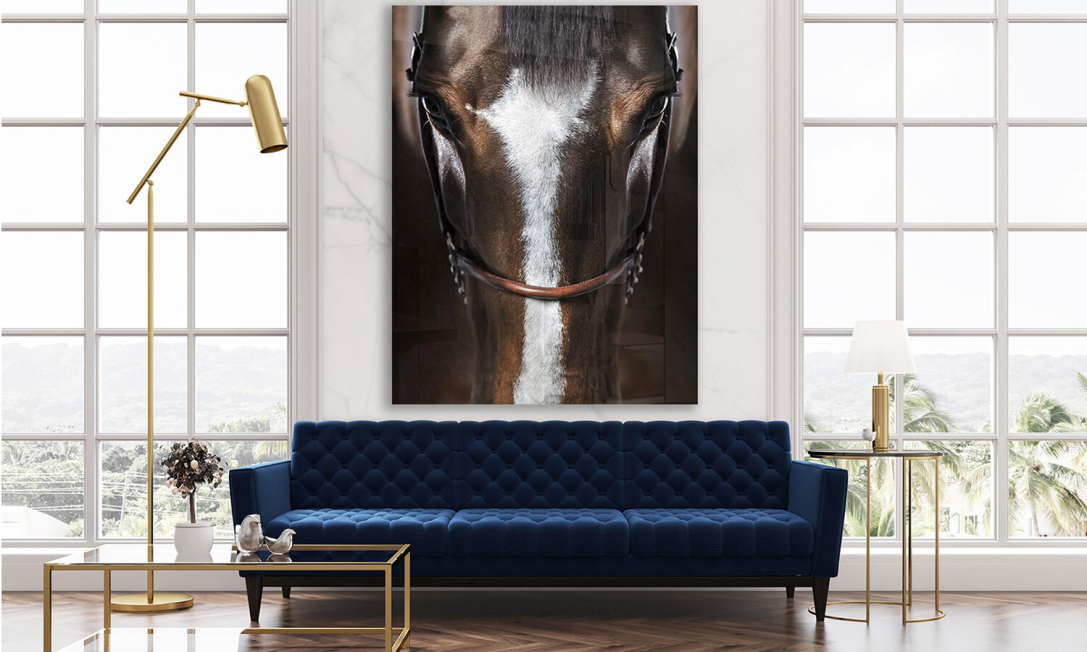 Raphael Macek's Immersion horse portrait is center stage in this engaging decor.
